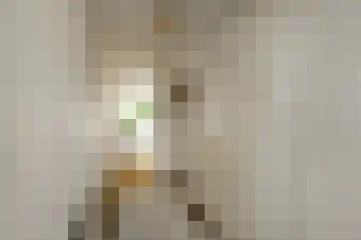 Zadelmakersstraat 23 Elst thumbnail 21