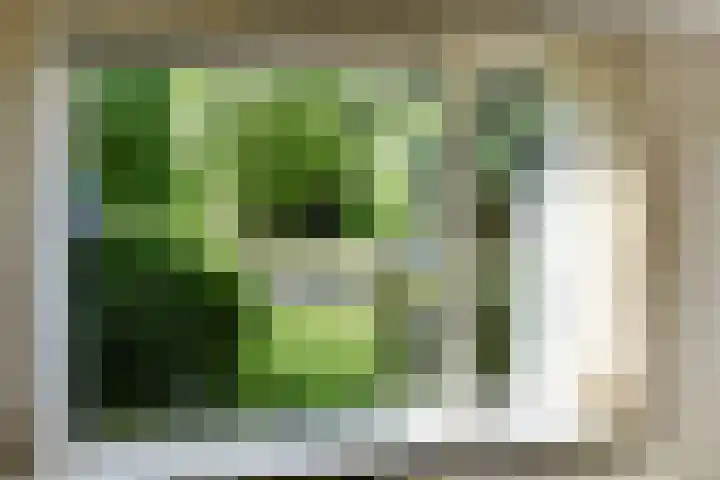 Zadelmakersstraat 23 Elst thumbnail 24