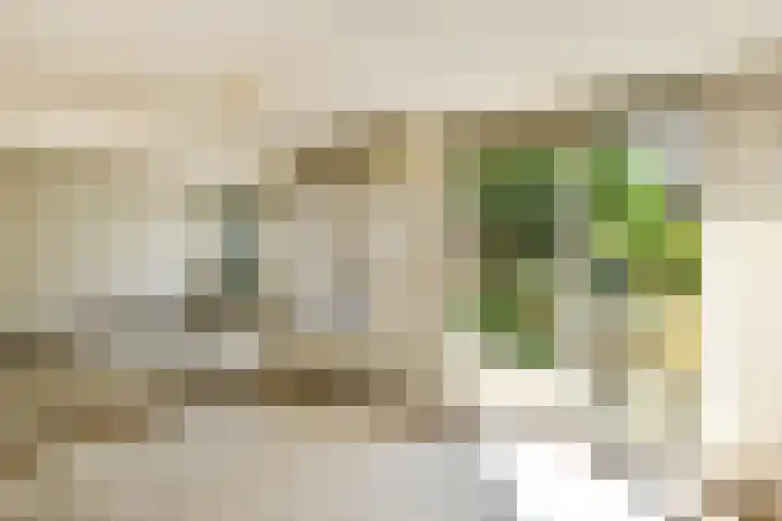 Zadelmakersstraat 23 Elst thumbnail 29