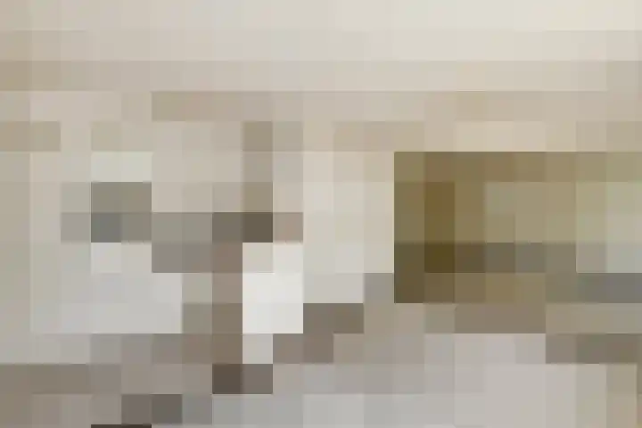 Zadelmakersstraat 23 Elst thumbnail 30