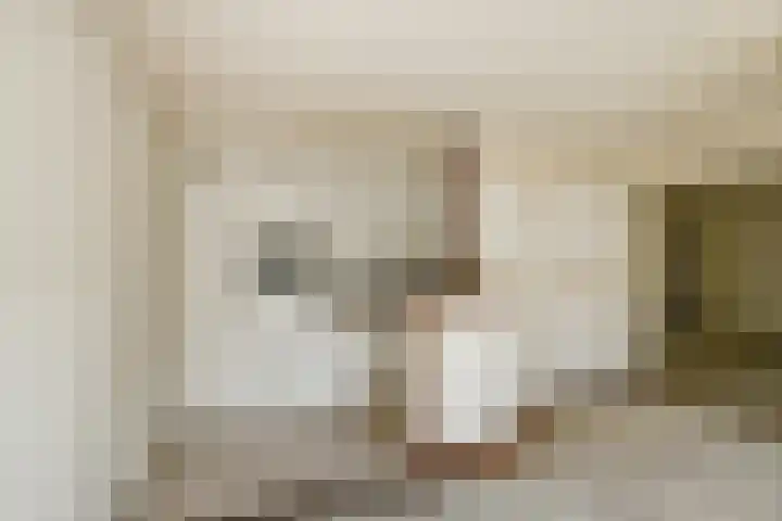 Zadelmakersstraat 23 Elst thumbnail 31