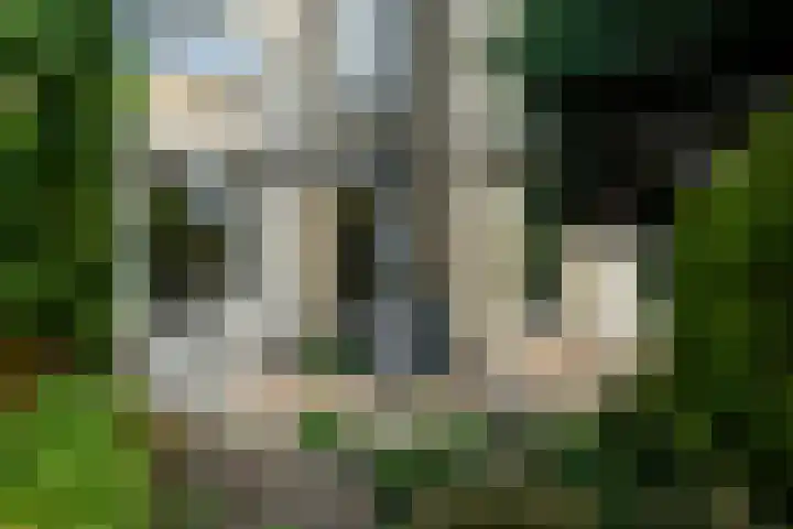 Zadelmakersstraat 23 Elst thumbnail 4