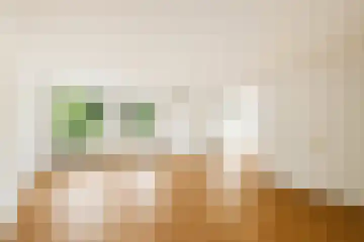 Zadelmakersstraat 23 Elst thumbnail 44