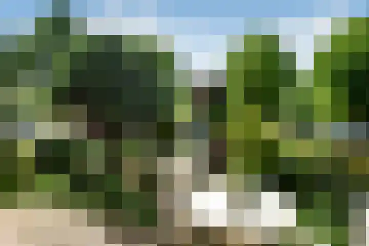 Zadelmakersstraat 23 Elst thumbnail 6