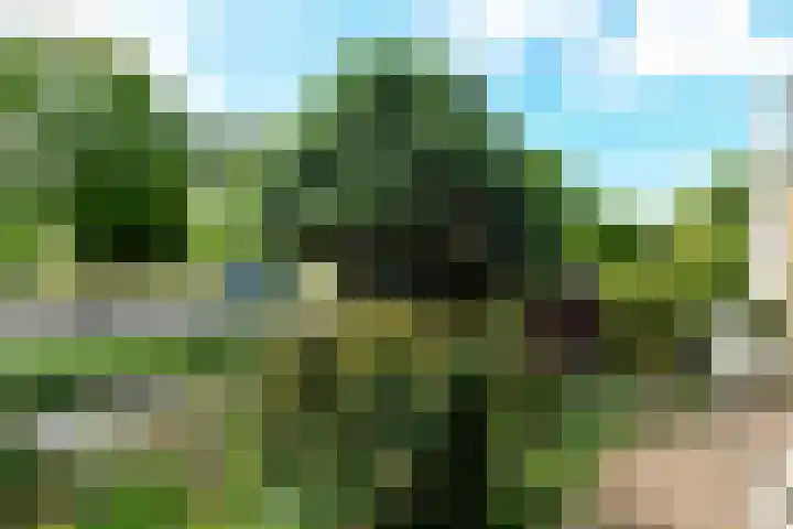Zadelmakersstraat 23 Elst thumbnail 8
