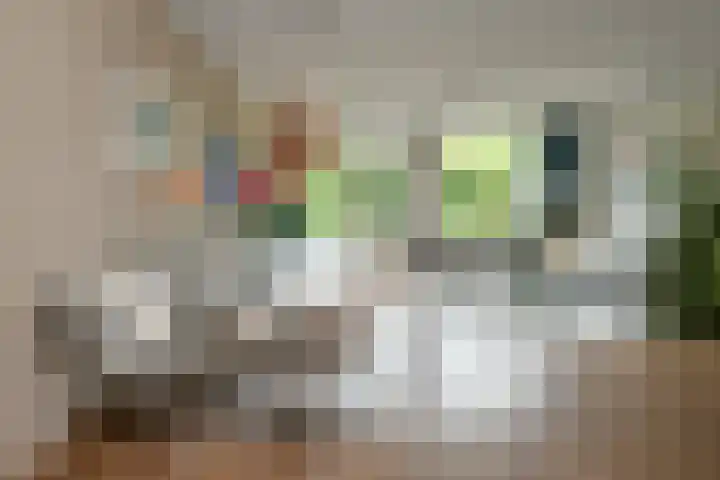 Zadelmakersstraat 53 Elst thumbnail 12