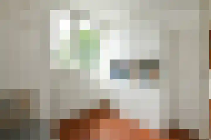 Zadelmakersstraat 53 Elst thumbnail 24
