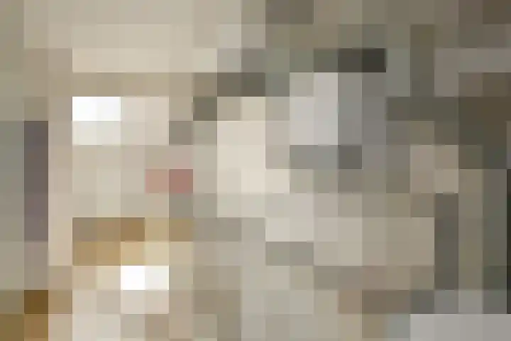 Zadelmakersstraat 53 Elst thumbnail 33