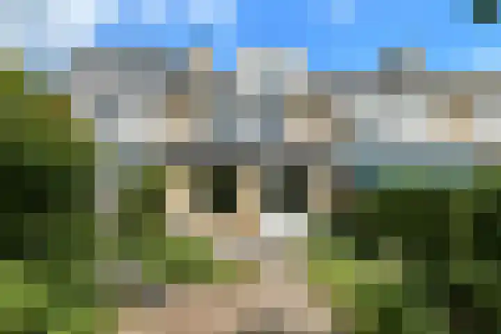 Zadelmakersstraat 53 Elst thumbnail 37