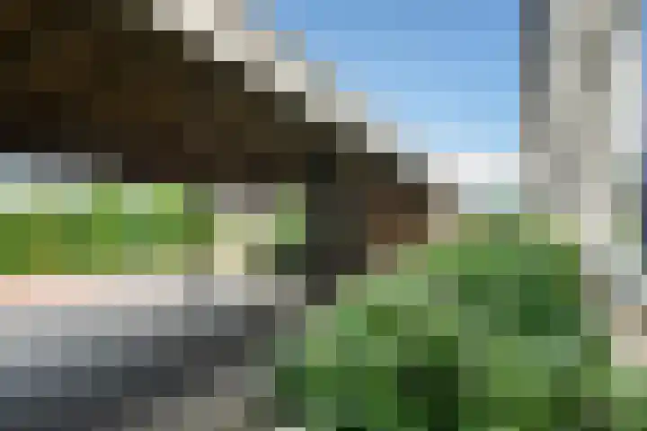 Zadelmakersstraat 53 Elst thumbnail 39