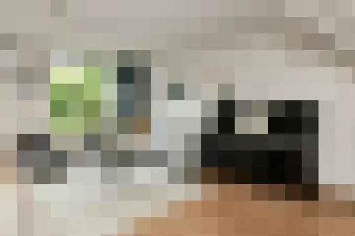 Zadelmakersstraat 53 Elst thumbnail 7