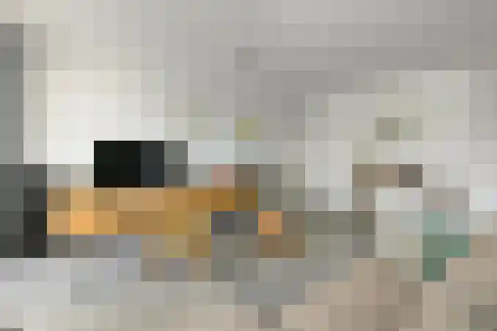 Zadelmakersstraat 7 Elst thumbnail 14