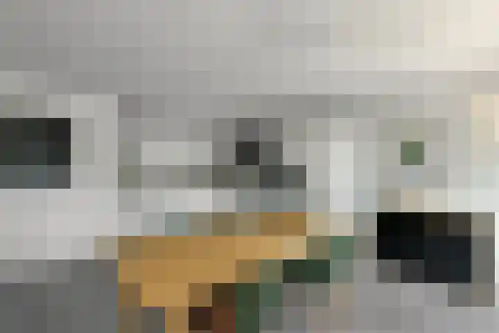 Zadelmakersstraat 7 Elst thumbnail 19
