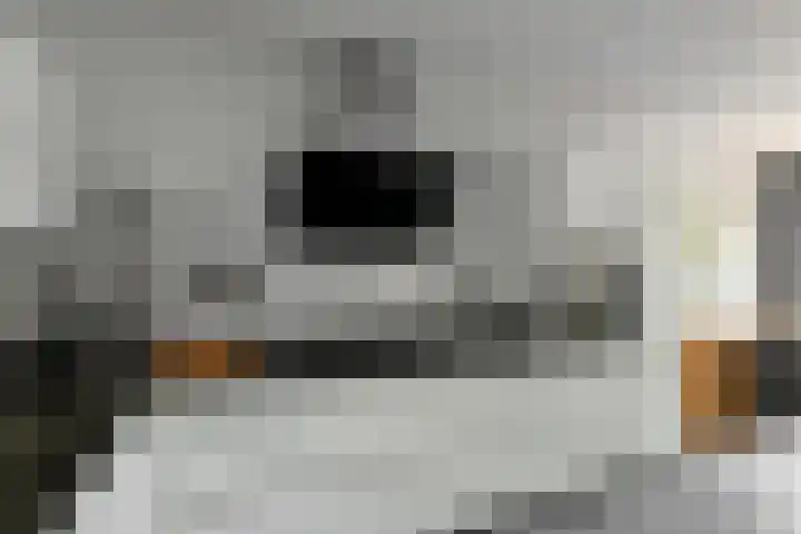 Zadelmakersstraat 7 Elst thumbnail 22
