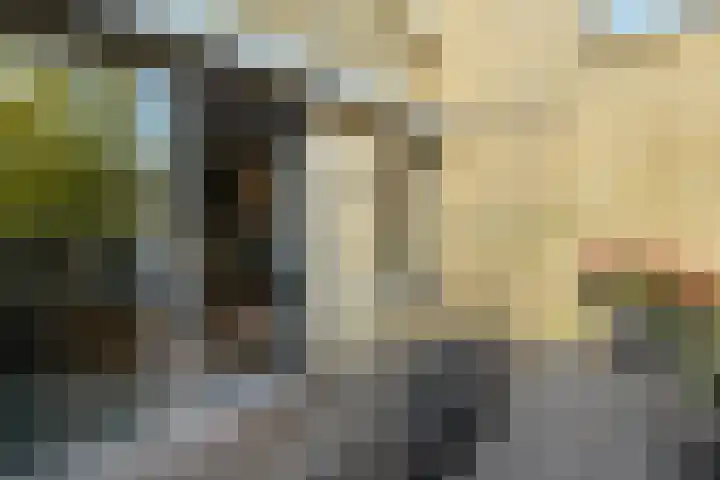 Zadelmakersstraat 7 Elst thumbnail 26