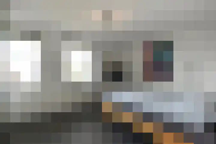 Zadelmakersstraat 7 Elst thumbnail 30