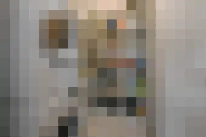 Zadelmakersstraat 7 Elst thumbnail 39