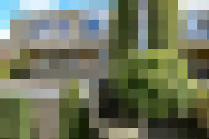 Zadelmakersstraat 7 Elst thumbnail 4