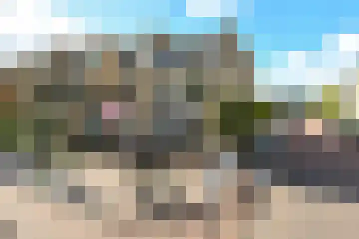 Zadelmakersstraat 7 Elst thumbnail 42