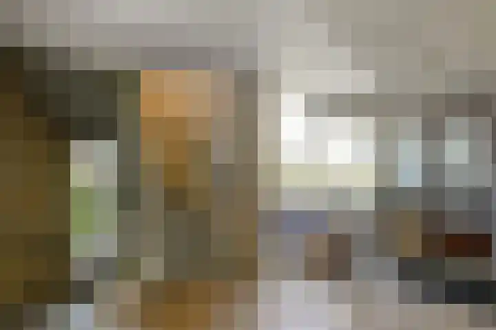 Zadelmakersstraat 7 Elst thumbnail 9