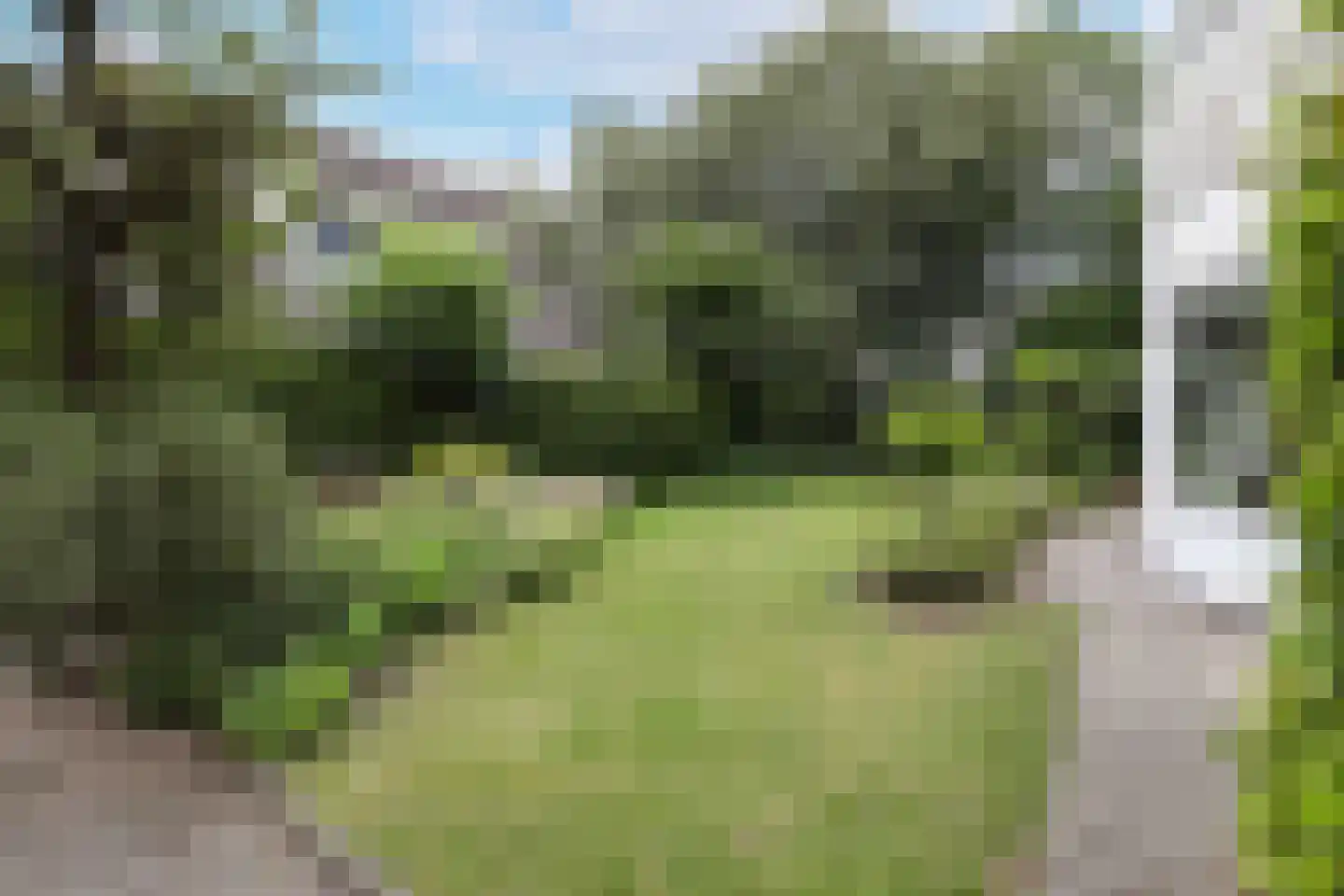 Zadelmakerstraat 13 Hoogland thumbnail 36