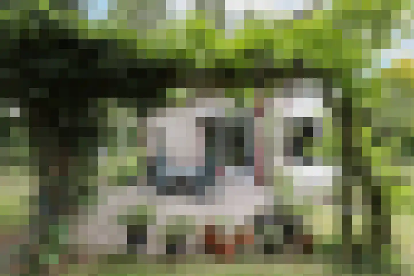 Zadelmakerstraat 13 Hoogland thumbnail 37