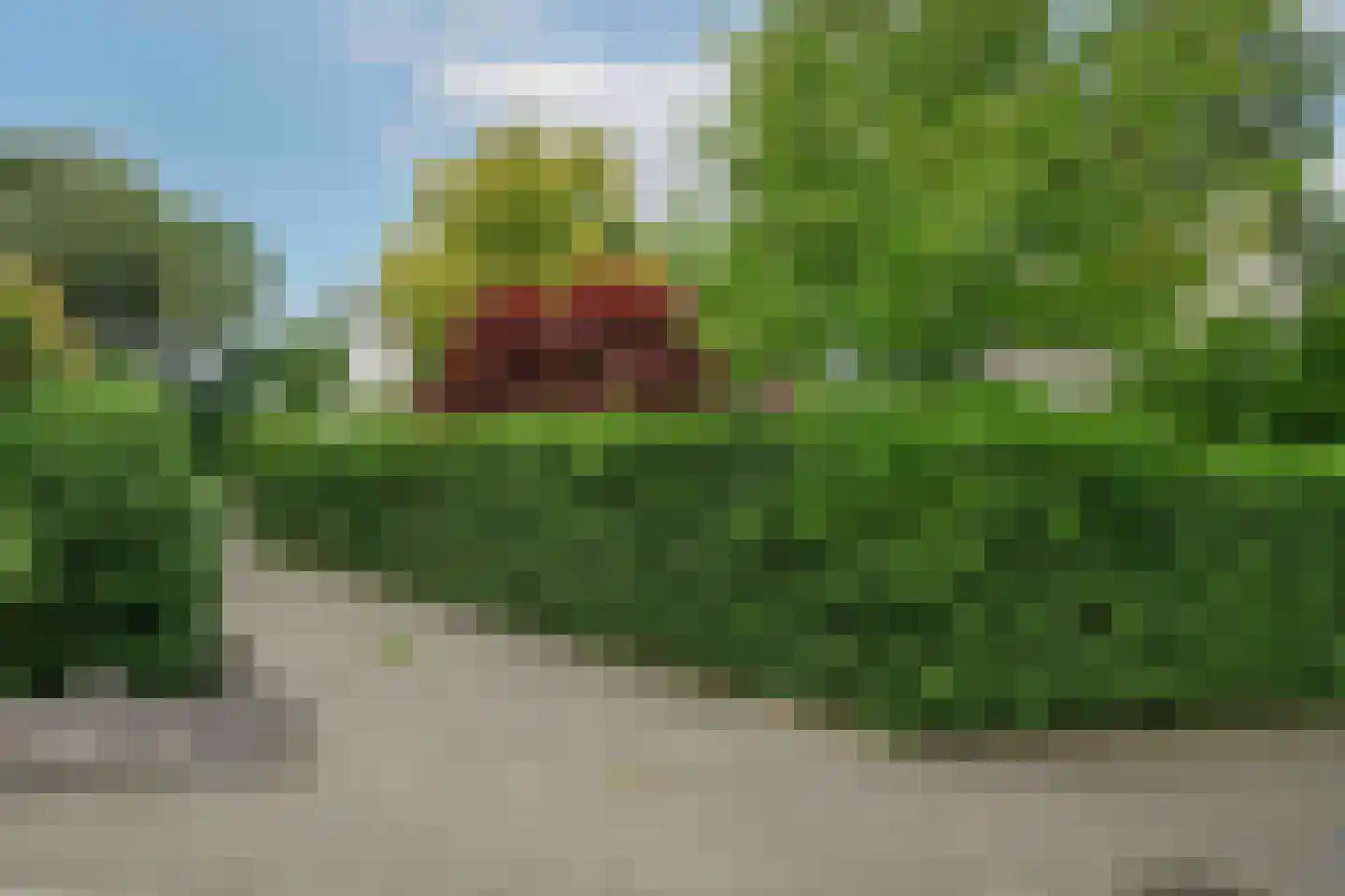 Zadelmakerstraat 13 Hoogland thumbnail 42
