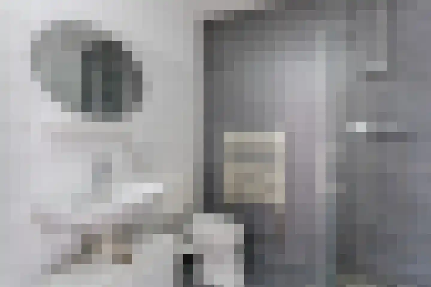 Zadelmakerstraat 20 Alkmaar thumbnail 5