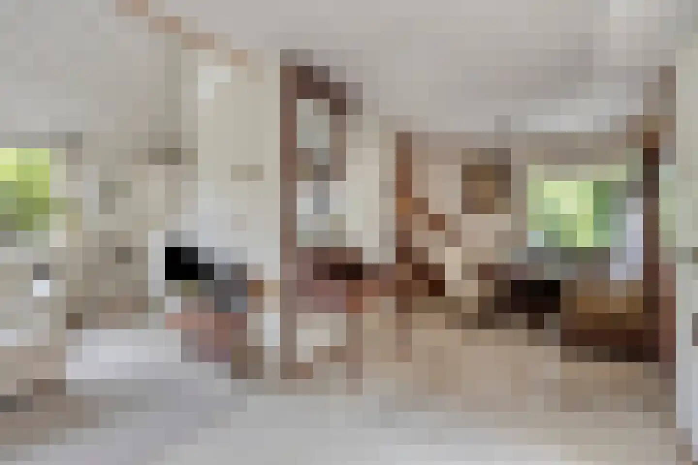 Zadelmakerstraat 27 Duiven thumbnail 12