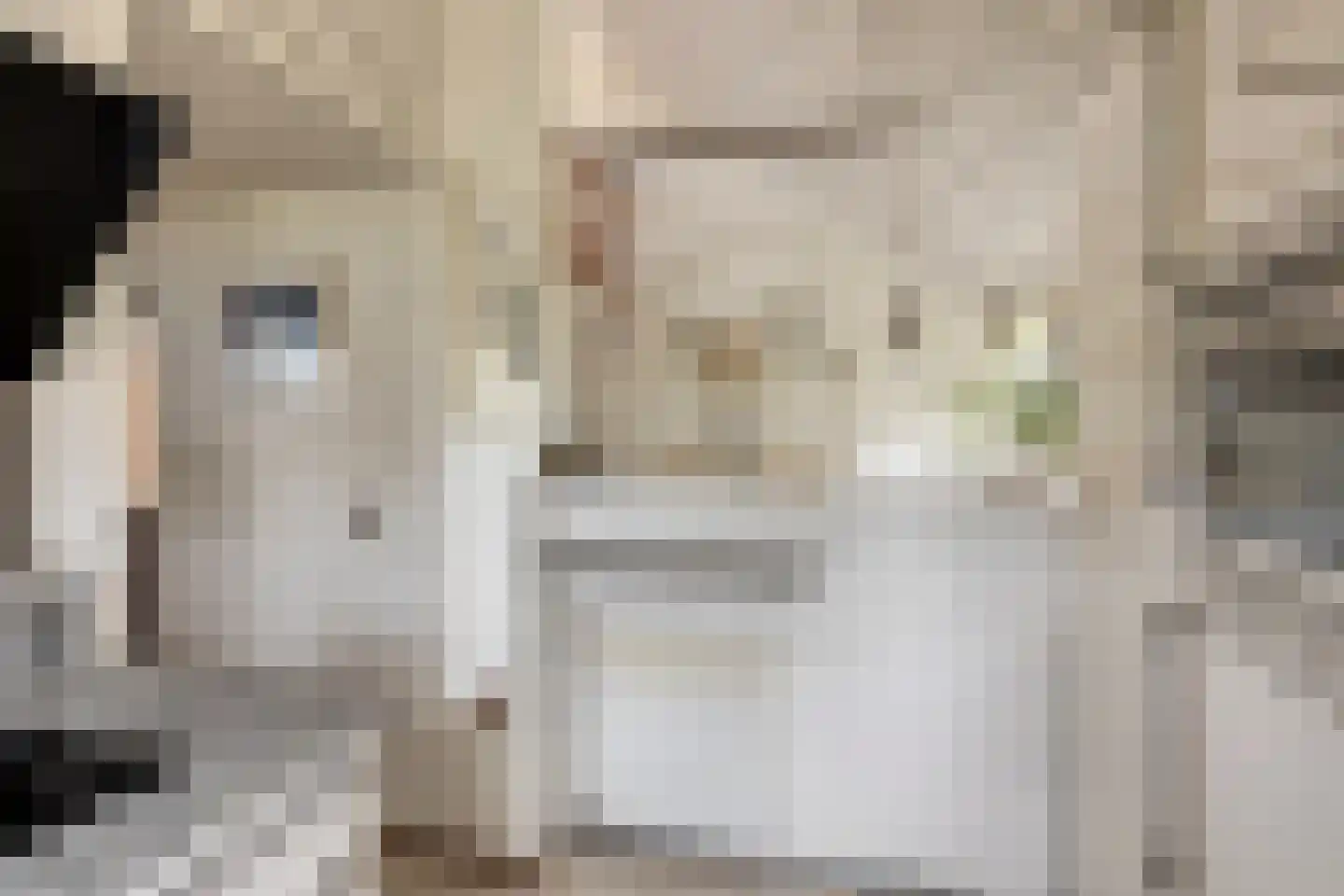 Zadelmakerstraat 27 Duiven thumbnail 15