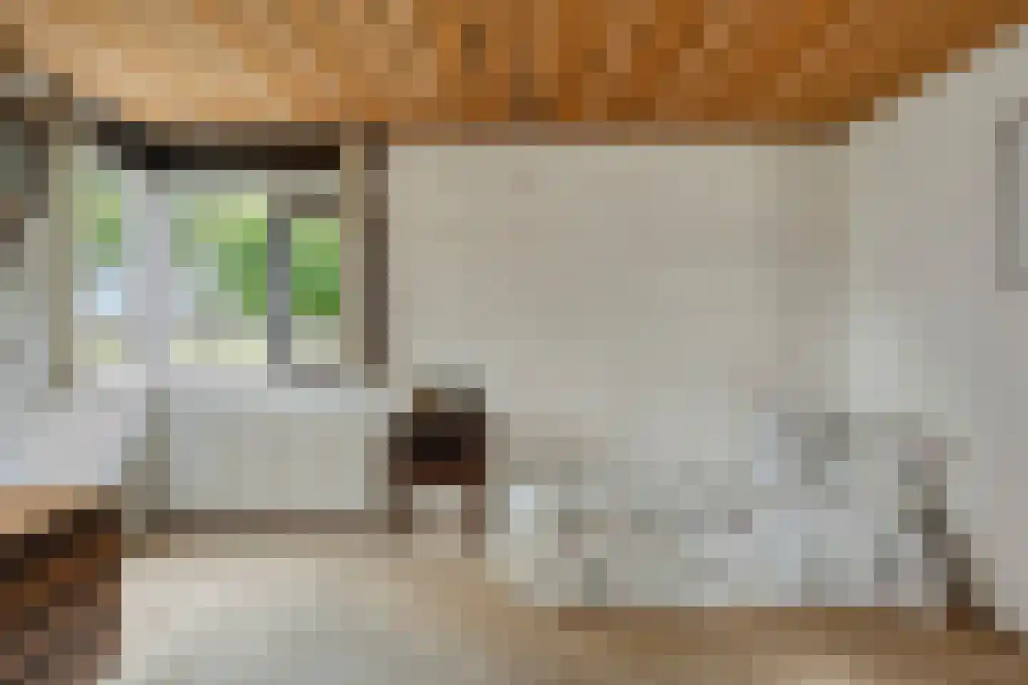 Zadelmakerstraat 27 Duiven thumbnail 16