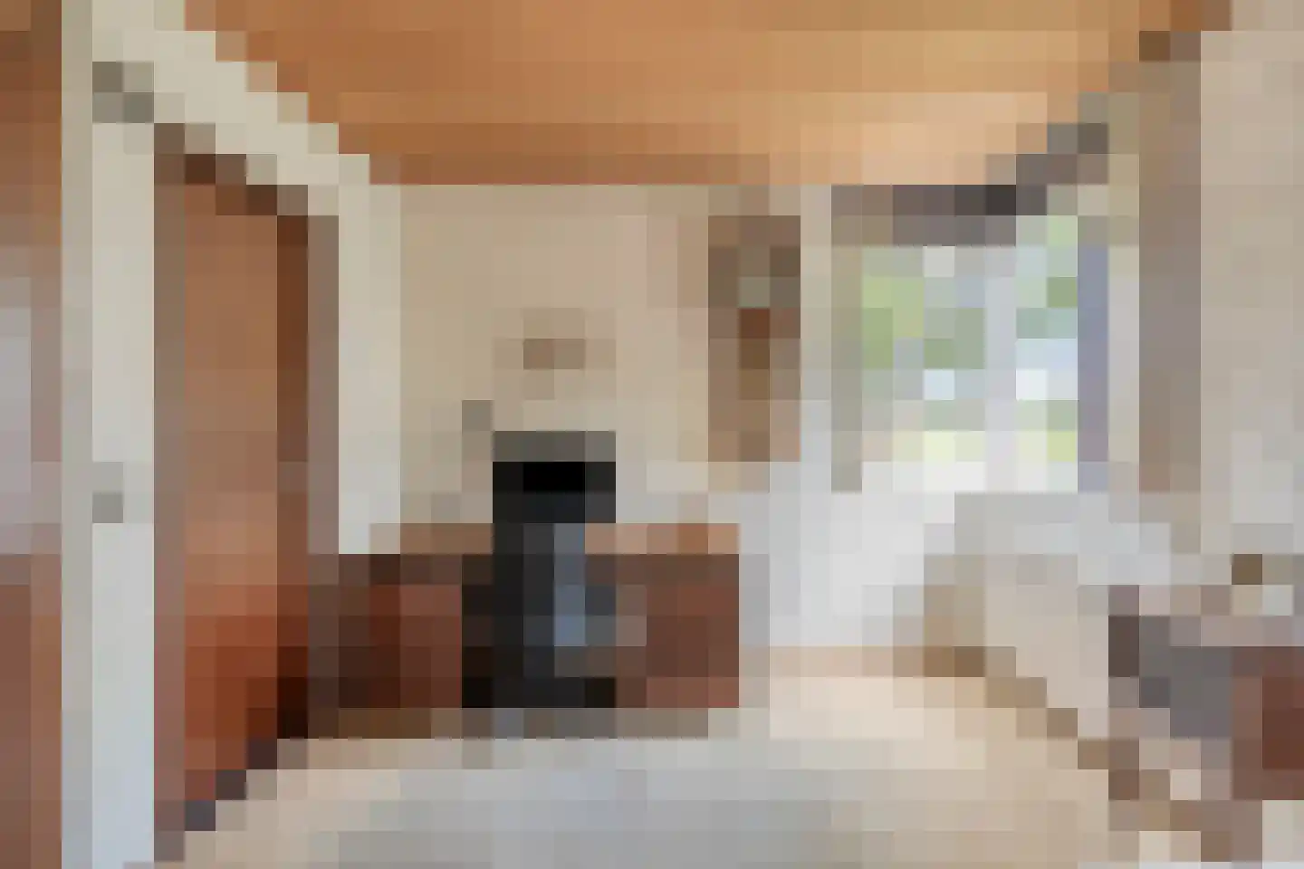 Zadelmakerstraat 27 Duiven thumbnail 17