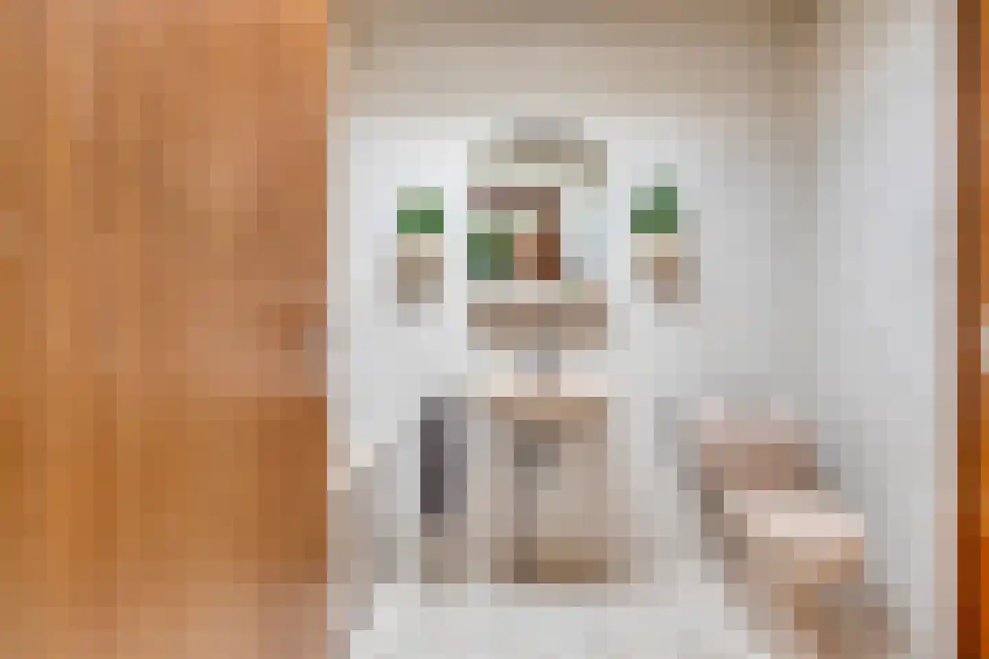 Zadelmakerstraat 27 Duiven thumbnail 18