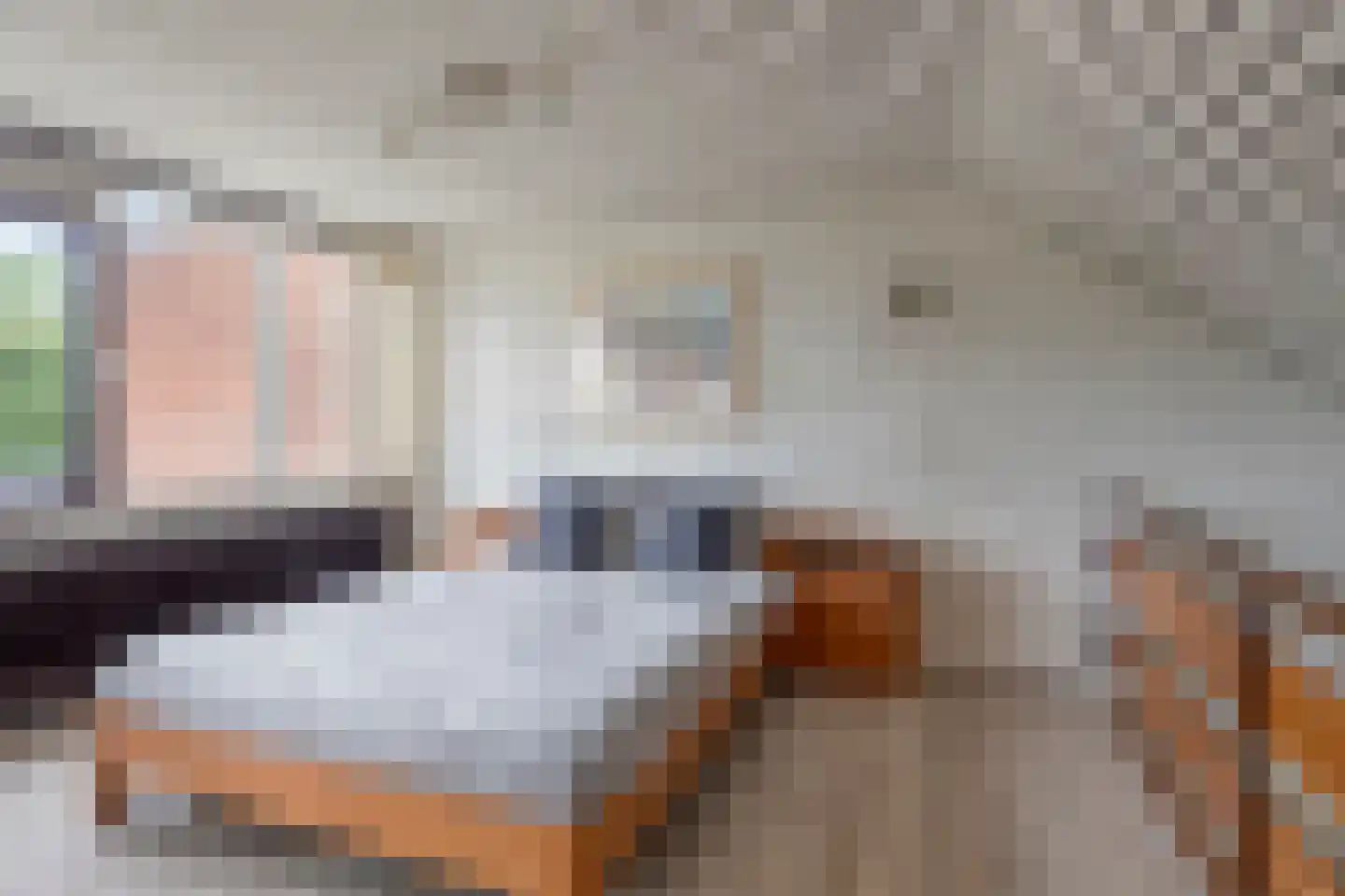 Zadelmakerstraat 27 Duiven thumbnail 22