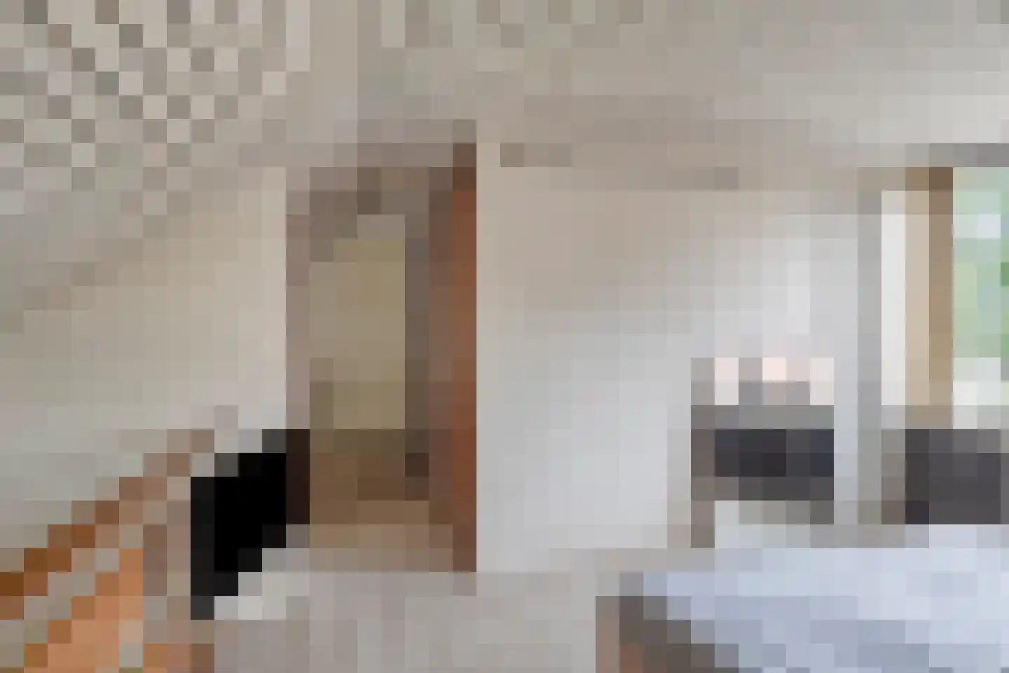 Zadelmakerstraat 27 Duiven thumbnail 25