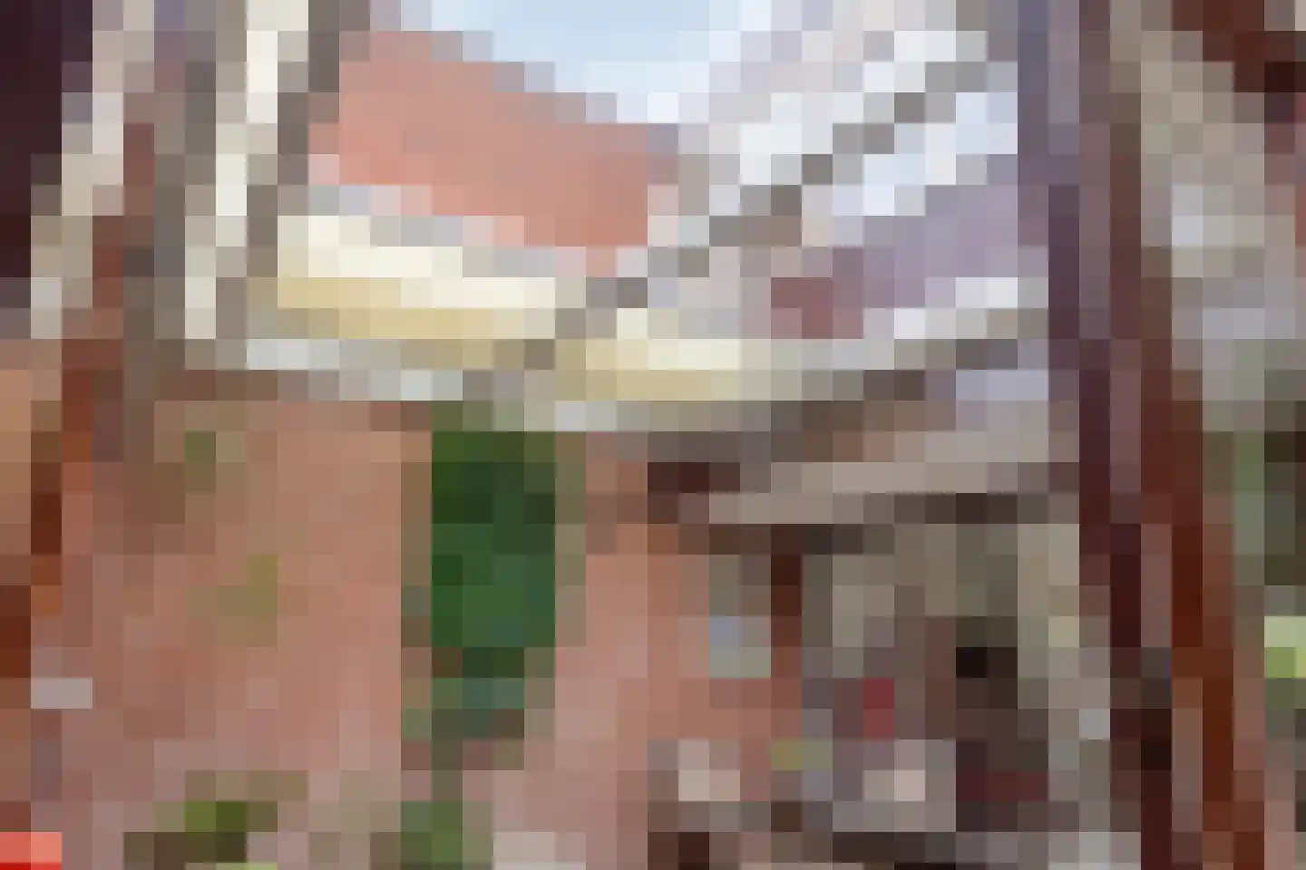 Zadelmakerstraat 27 Duiven thumbnail 30