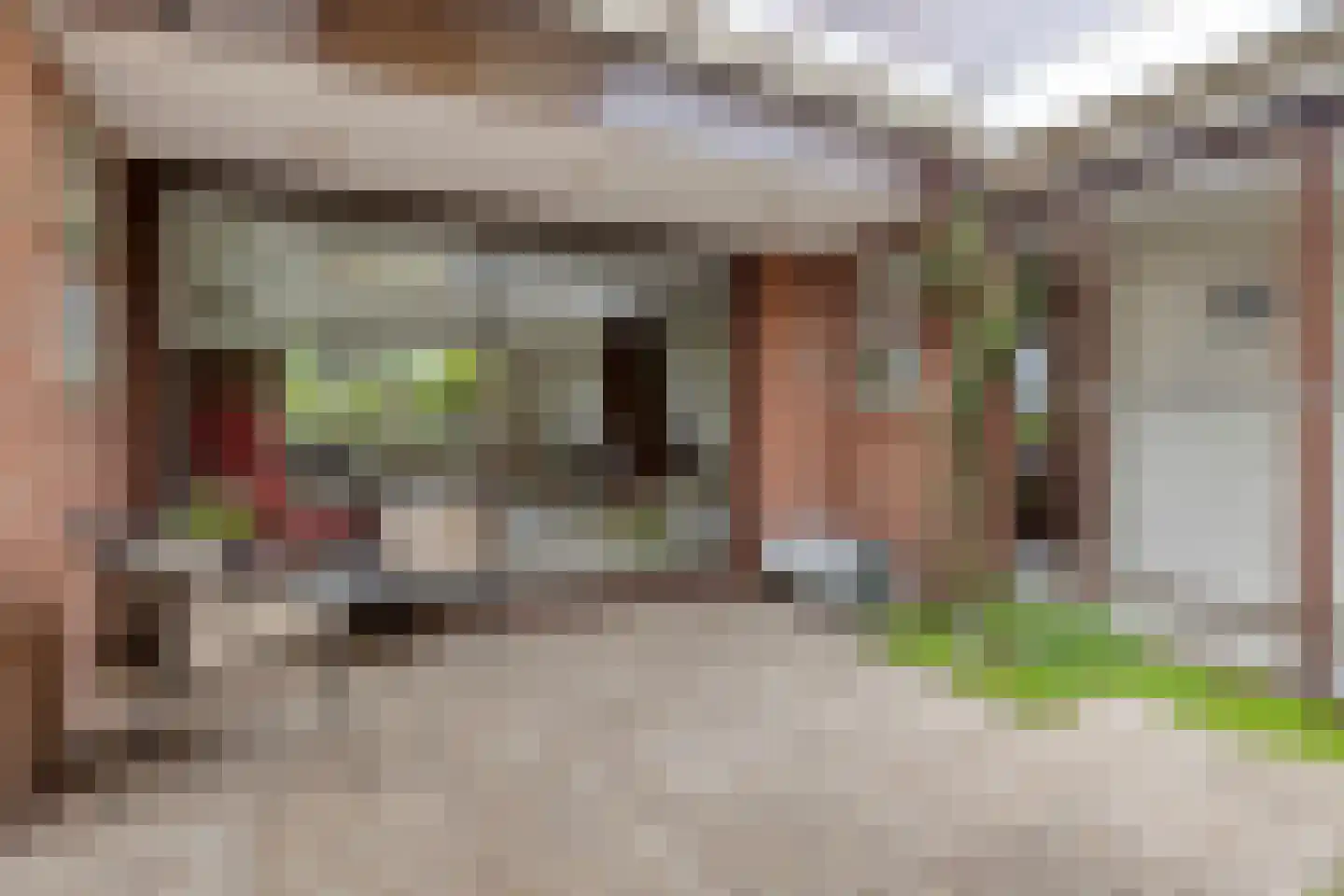 Zadelmakerstraat 27 Duiven thumbnail 31