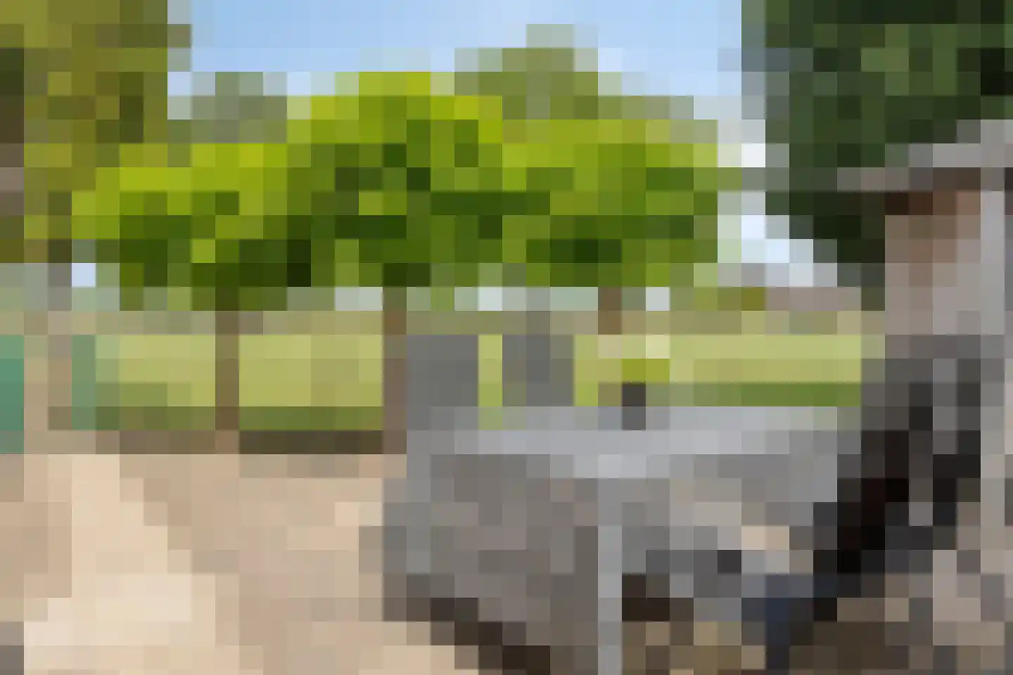 Zadelmakerstraat 27 Duiven thumbnail 32
