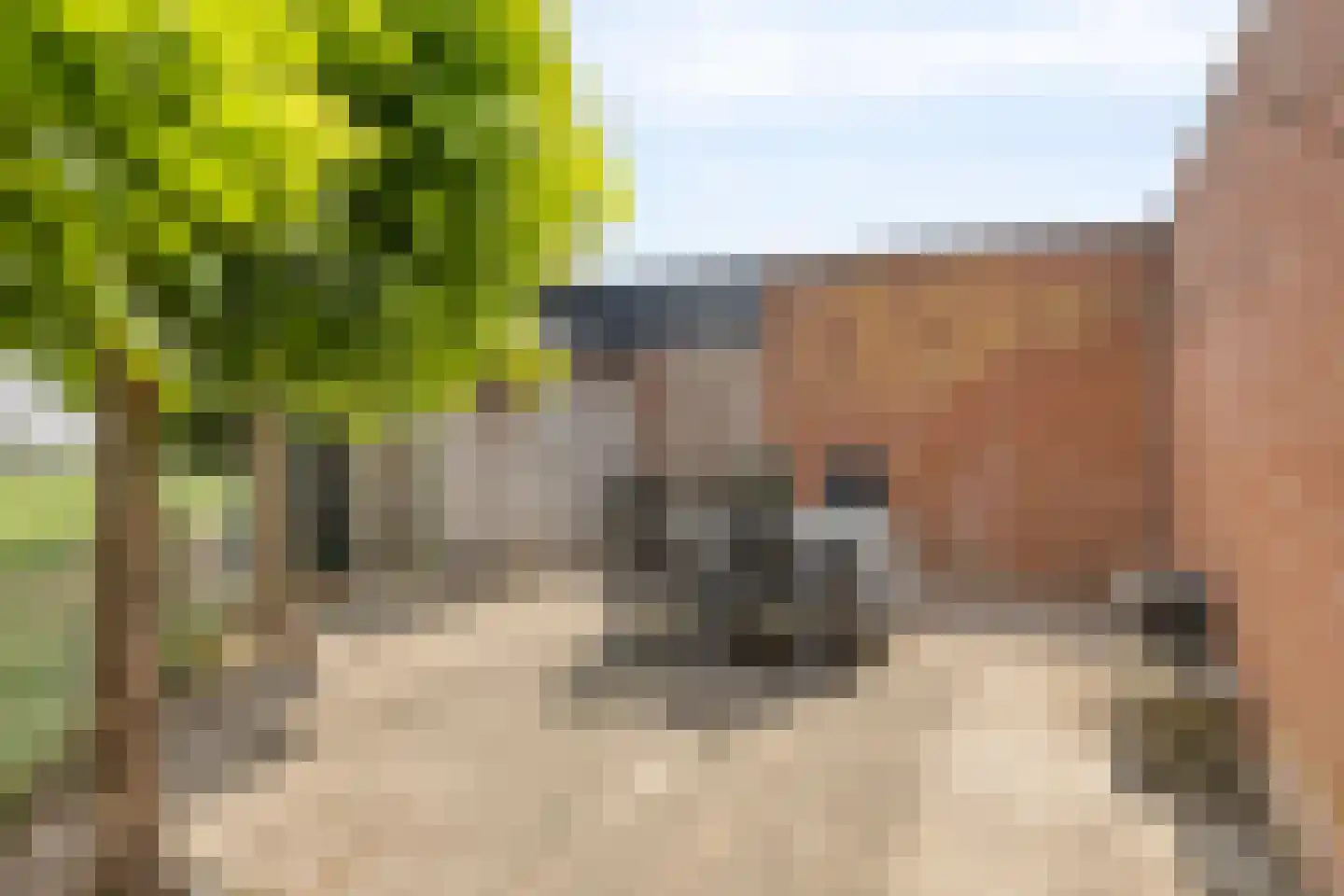 Zadelmakerstraat 27 Duiven thumbnail 33