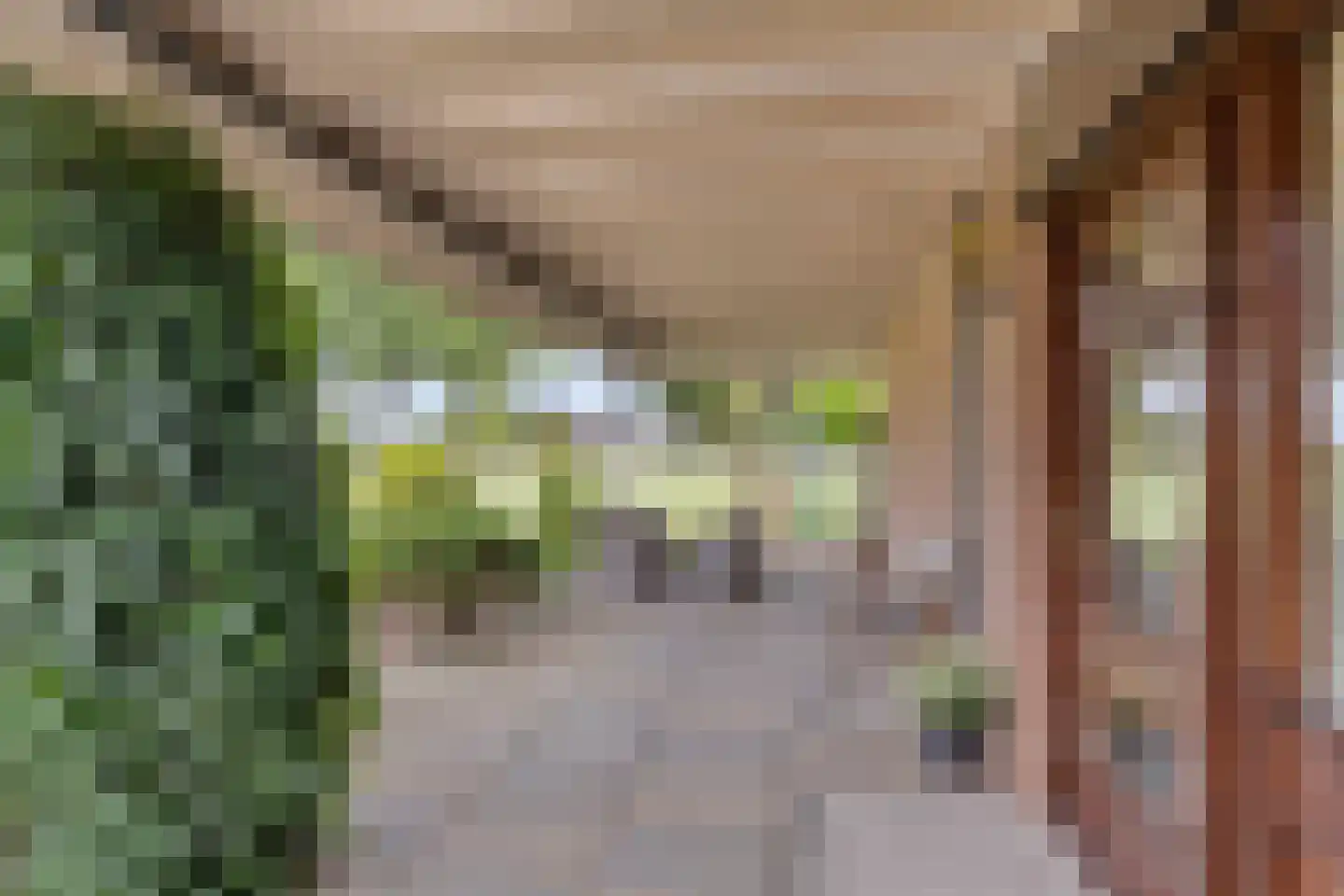 Zadelmakerstraat 27 Duiven thumbnail 34