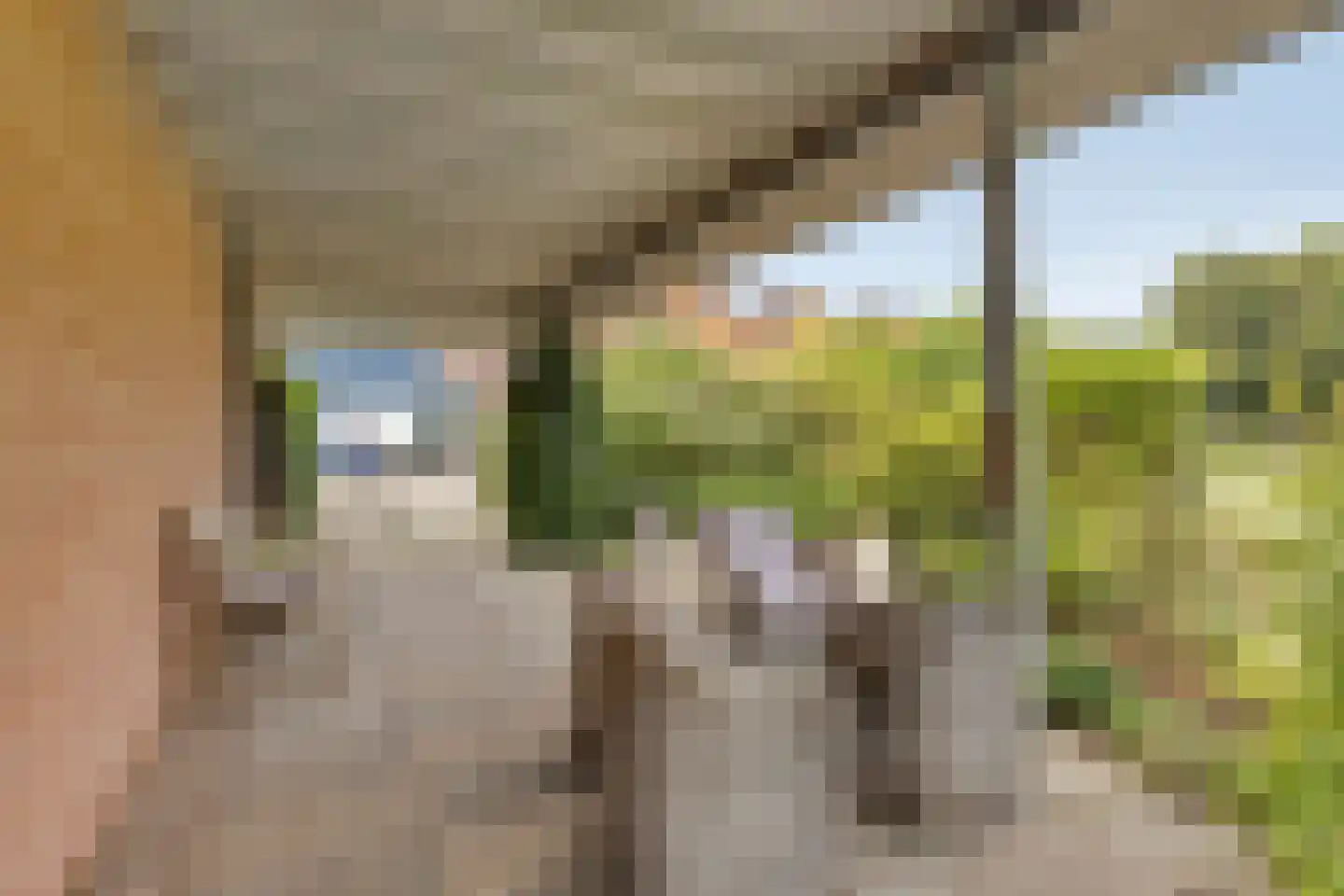 Zadelmakerstraat 27 Duiven thumbnail 35