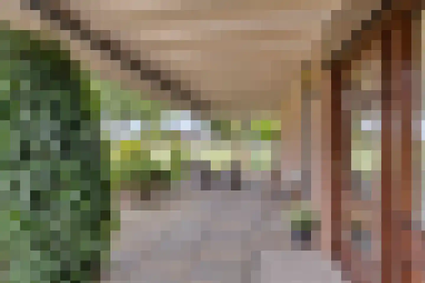 Zadelmakerstraat 27 Duiven thumbnail 4