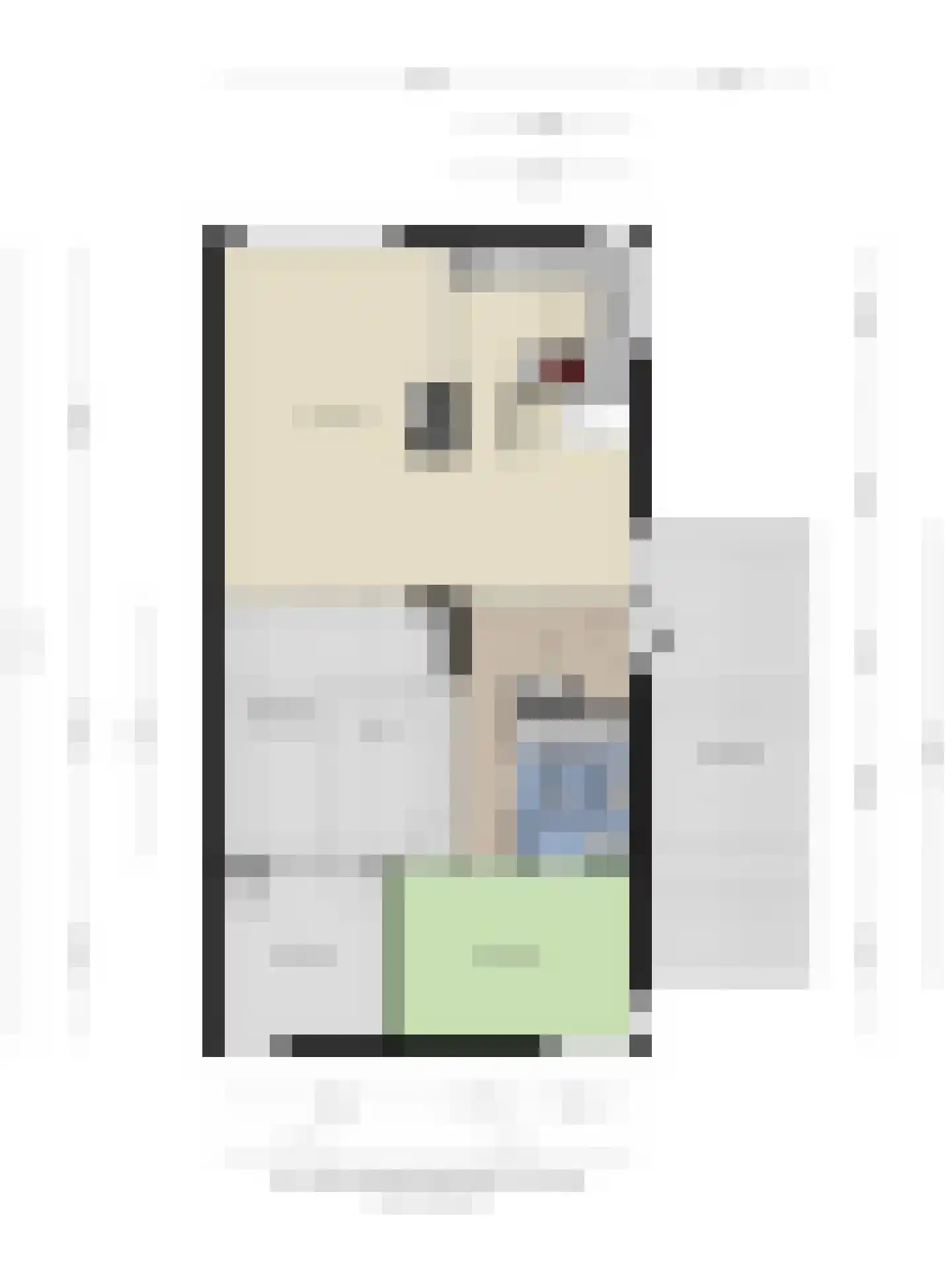 Zadelmakerstraat 27 Duiven thumbnail 41