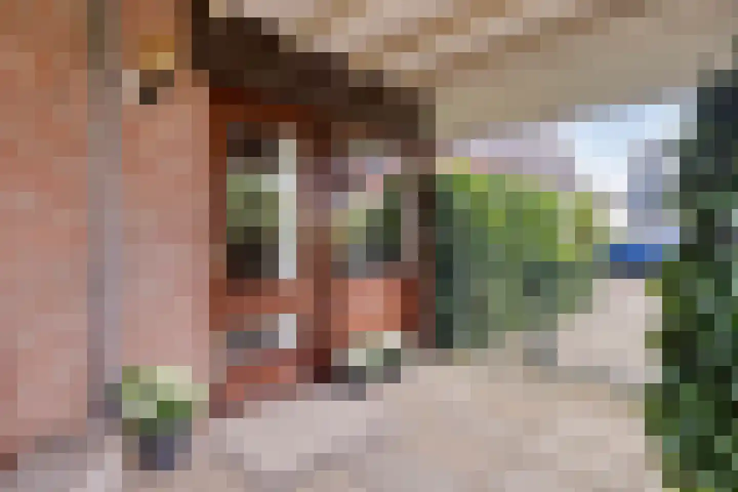 Zadelmakerstraat 27 Duiven thumbnail 5