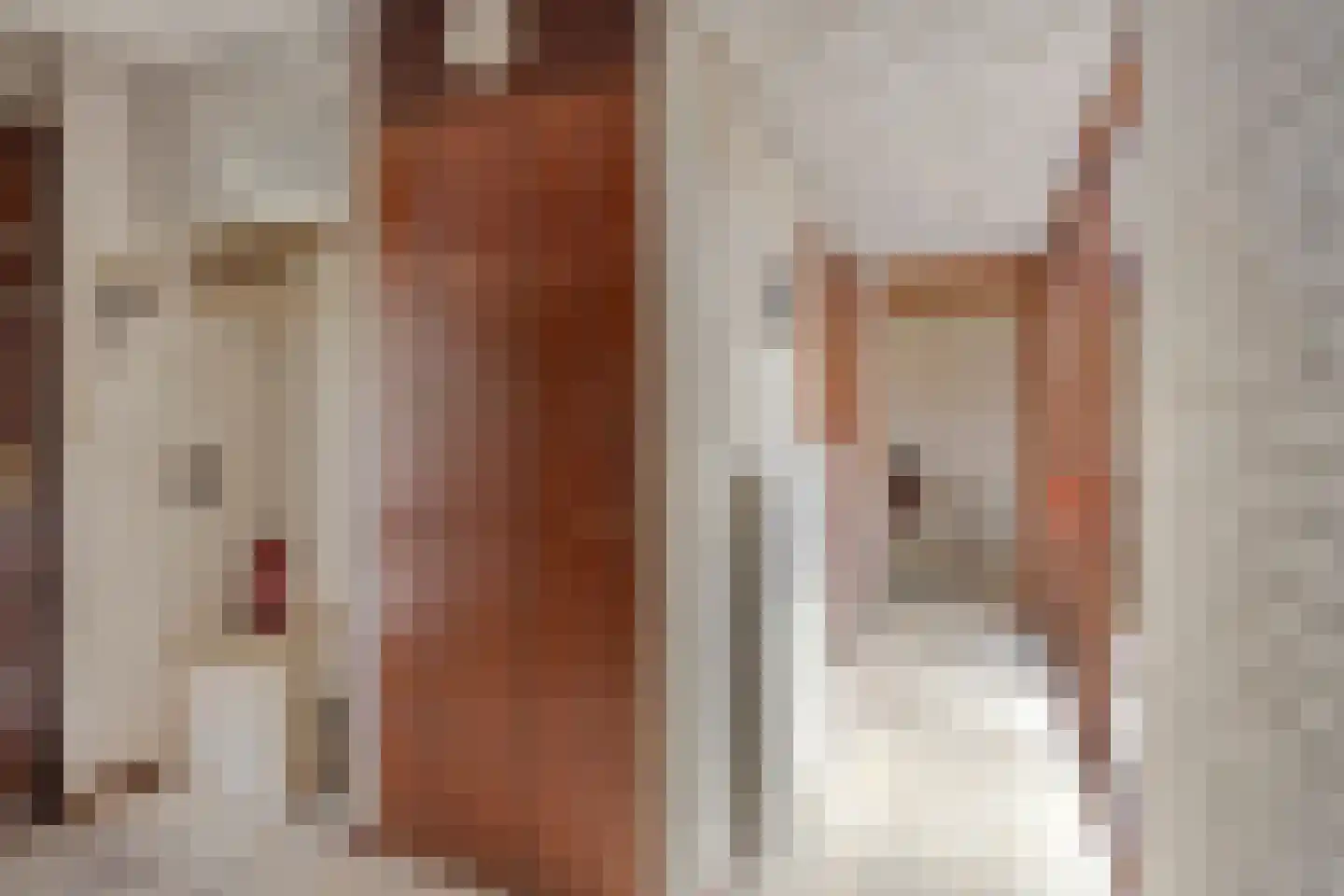 Zadelmakerstraat 27 Duiven thumbnail 7