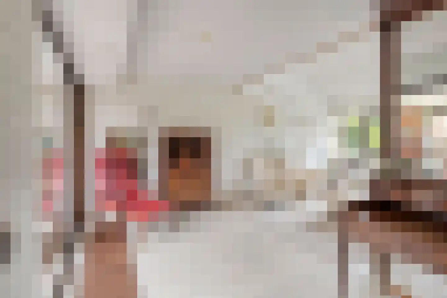 Zadelmakerstraat 27 Duiven thumbnail 8