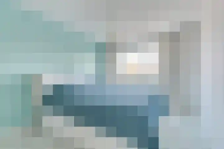 Zadelmakerstraat 4 Alkmaar thumbnail 5