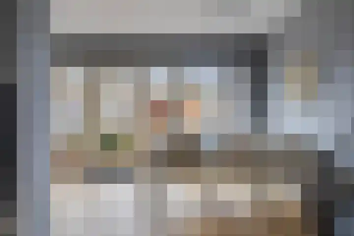 Zadelmakerstraat 66 Duiven thumbnail 18