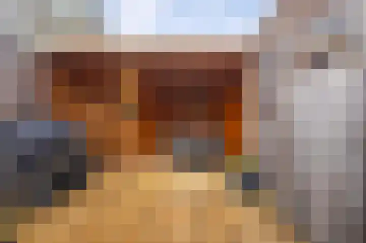 Zadelmakerstraat 66 Duiven thumbnail 22
