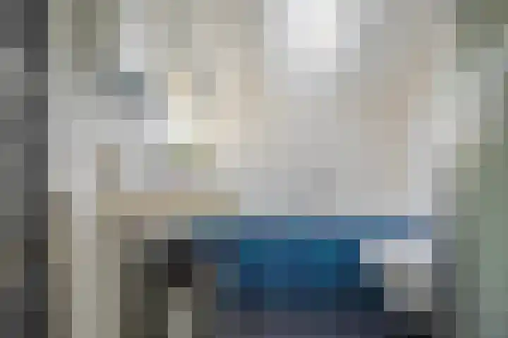 Zadelmakerstraat 66 Duiven thumbnail 27